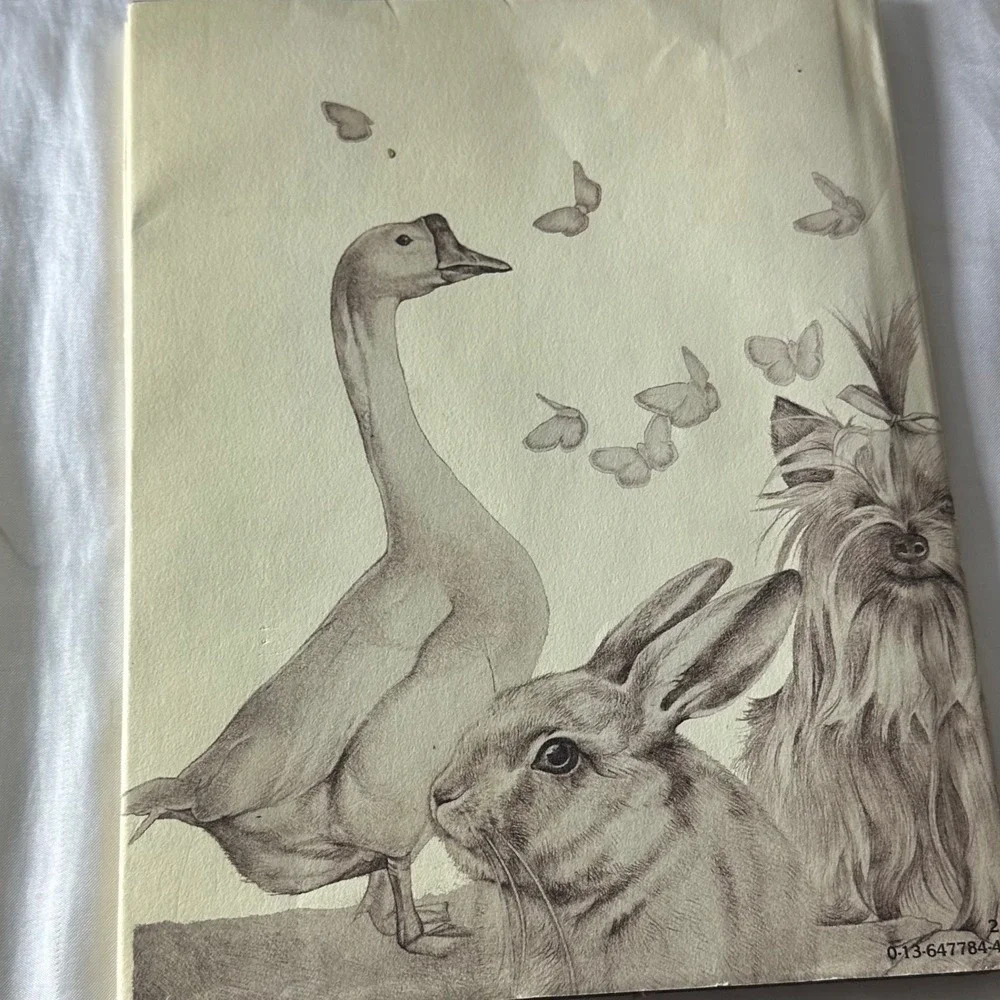 Ann Greenwood A Pack of Dreams Childrens Book Fair Vintage 1978 Hardcover Whimsy